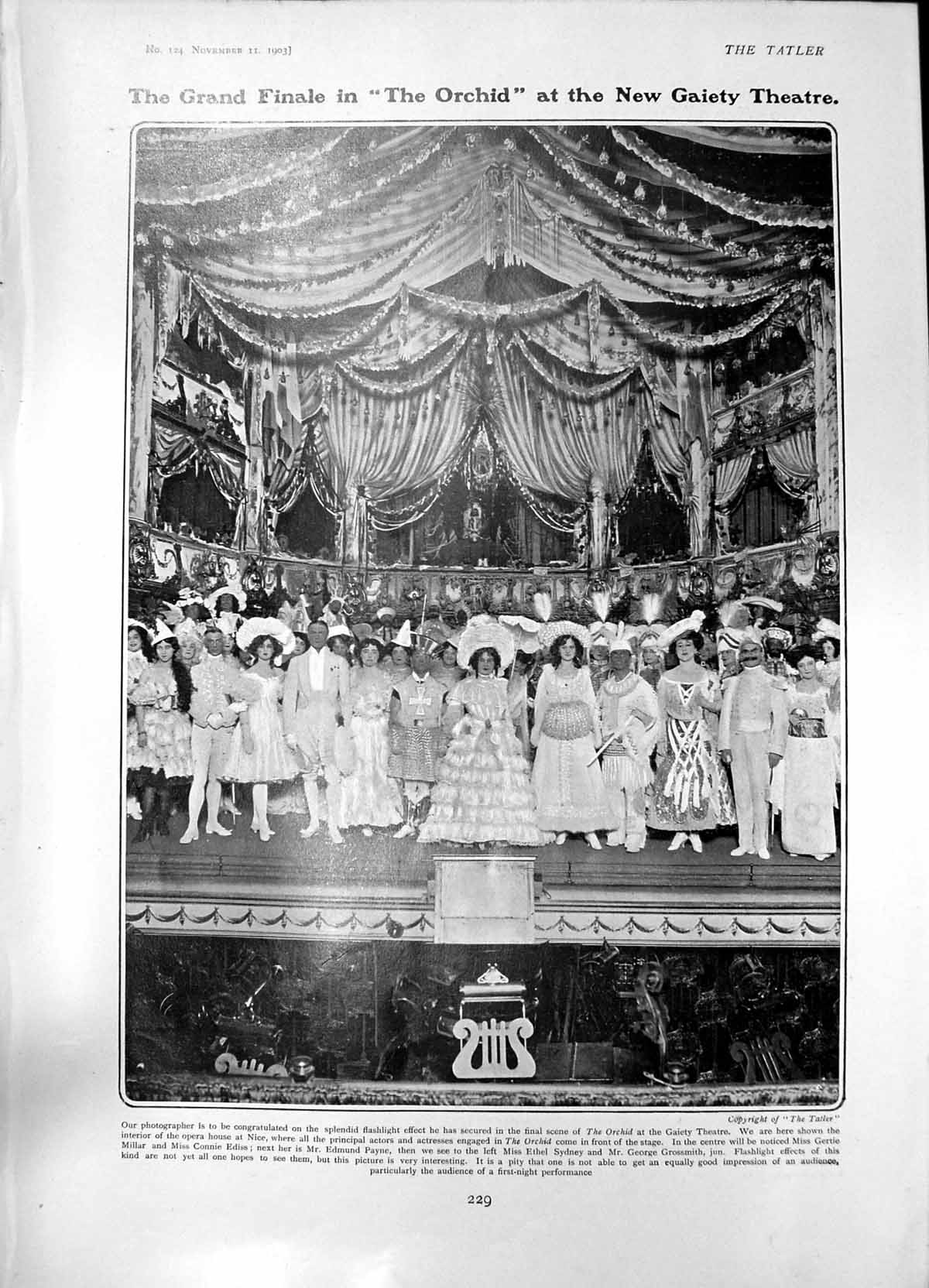 Antique Old Print Finale Orchid Gaiety Sea Lions Seals London Hippodrome 1903