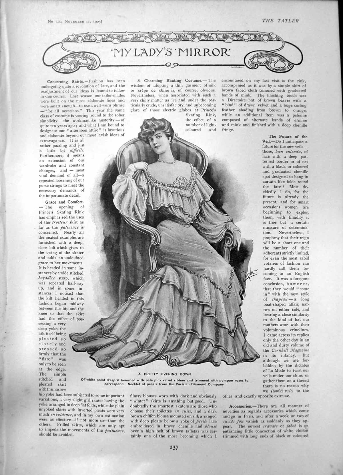 Old Evening Gown Perfection Tailor Made Improved Electric Battery1903 20th
