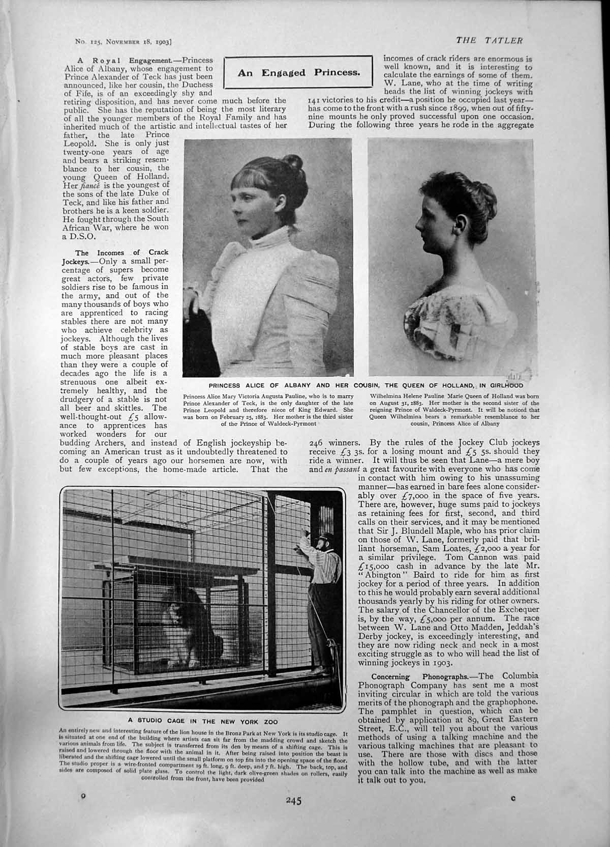 Old Syudio Cage N York Zoo Princess Alice Albany Cousin Queen Holland