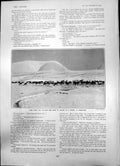 Antique Old Print Free From Stalker Red Deer In Winter Forest Ross Shire 1903