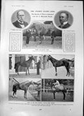 Antique Print Deaths Prince Soltykoff Sir J Blundell Maple Best Horses 1903