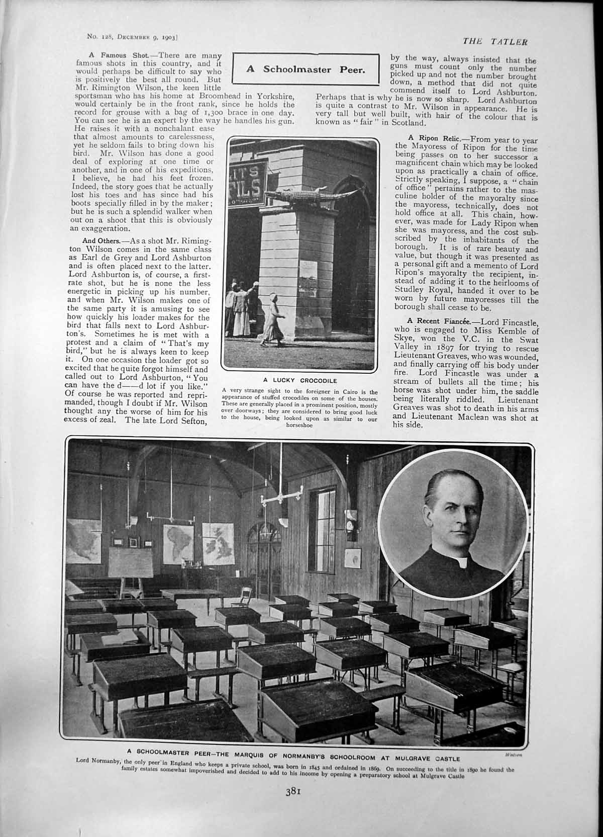 Old Print Stuffed Crocodiles Cairo Marquis Mormanby Room Col Kennard1903 20th