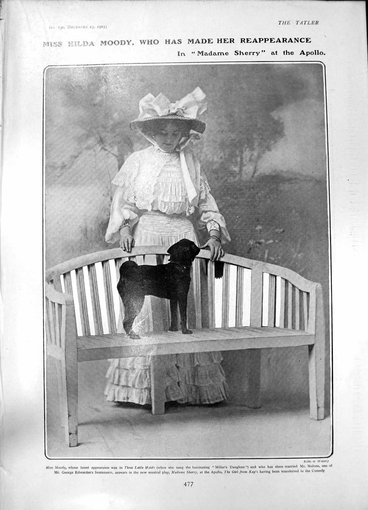 Old Hilda Moody Madame Sherry Apollo Orchid Ethel Sydney Zaccary1903 20th
