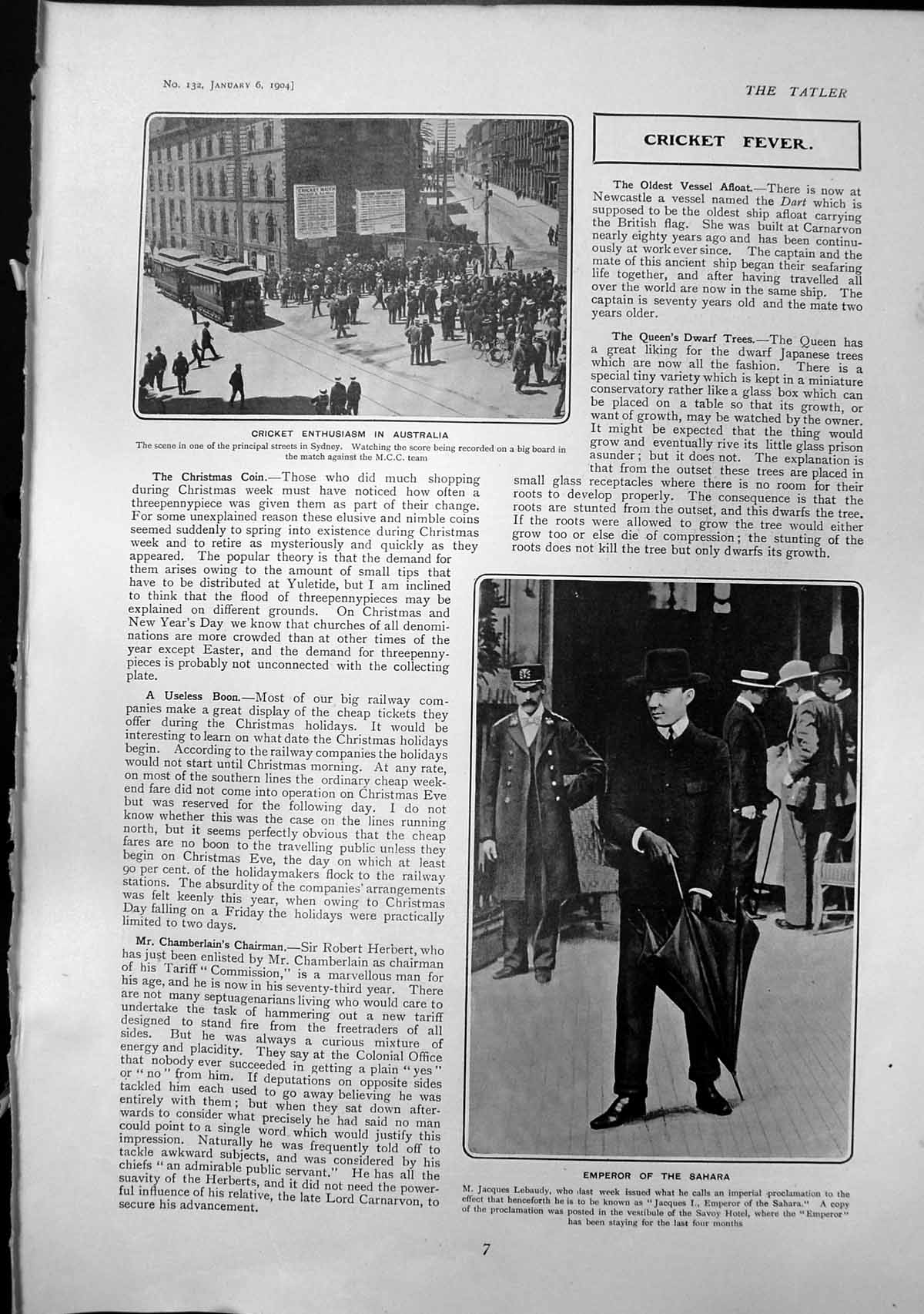 Old Emperor Sahara Cricket Enthusiasm Australia Swannery St Helens 19 Victorian
