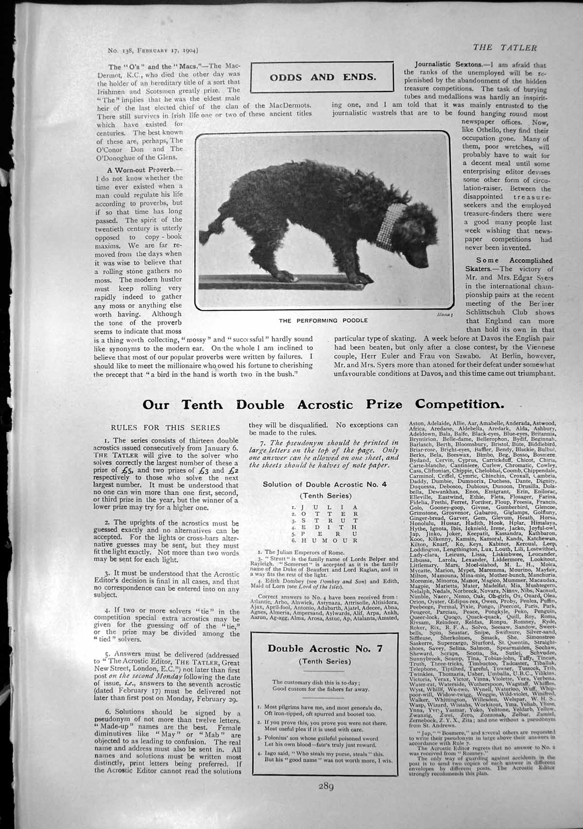 Original Old Antique Print Performing Poodle Double Acrostic Competition 1904