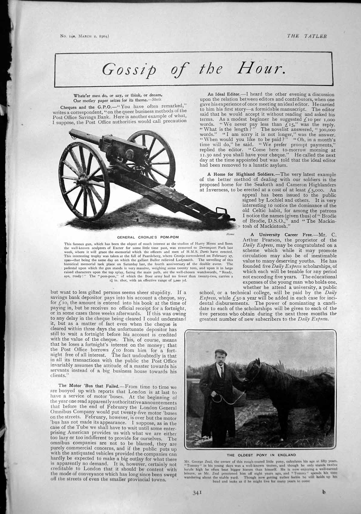 Antique Print Gen Cronjes Pom Pom Gun est Pony England Decima Brooke 1904 20th