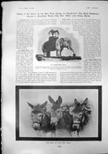 Antique Print Elepantine Hotel Atlantic City Three Donkeys Henry Wood 1904 20th
