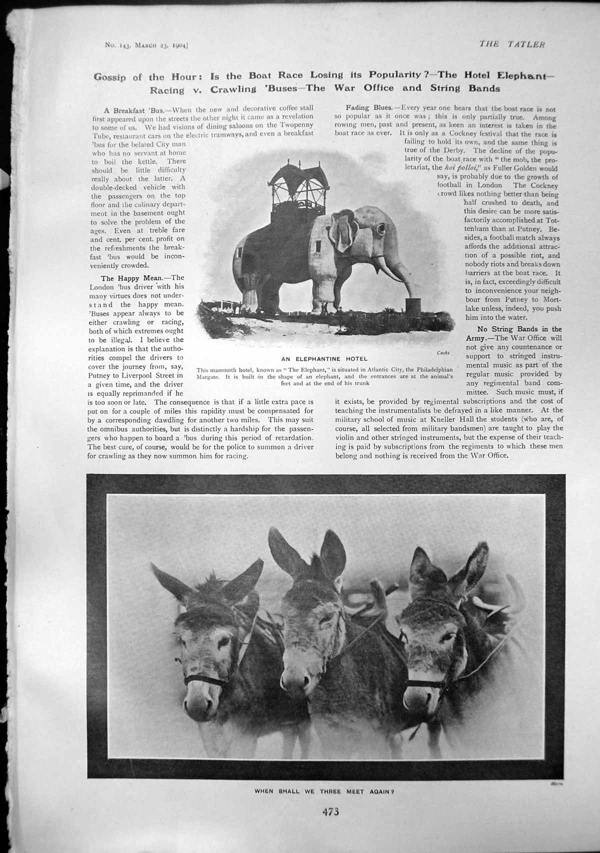 Antique Print Elepantine Hotel Atlantic City Three Donkeys Henry Wood 1904 20th