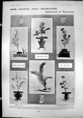 Old Print Japanese Table Decorations Flower Pots Tiger Mukden Camels 1904 20th