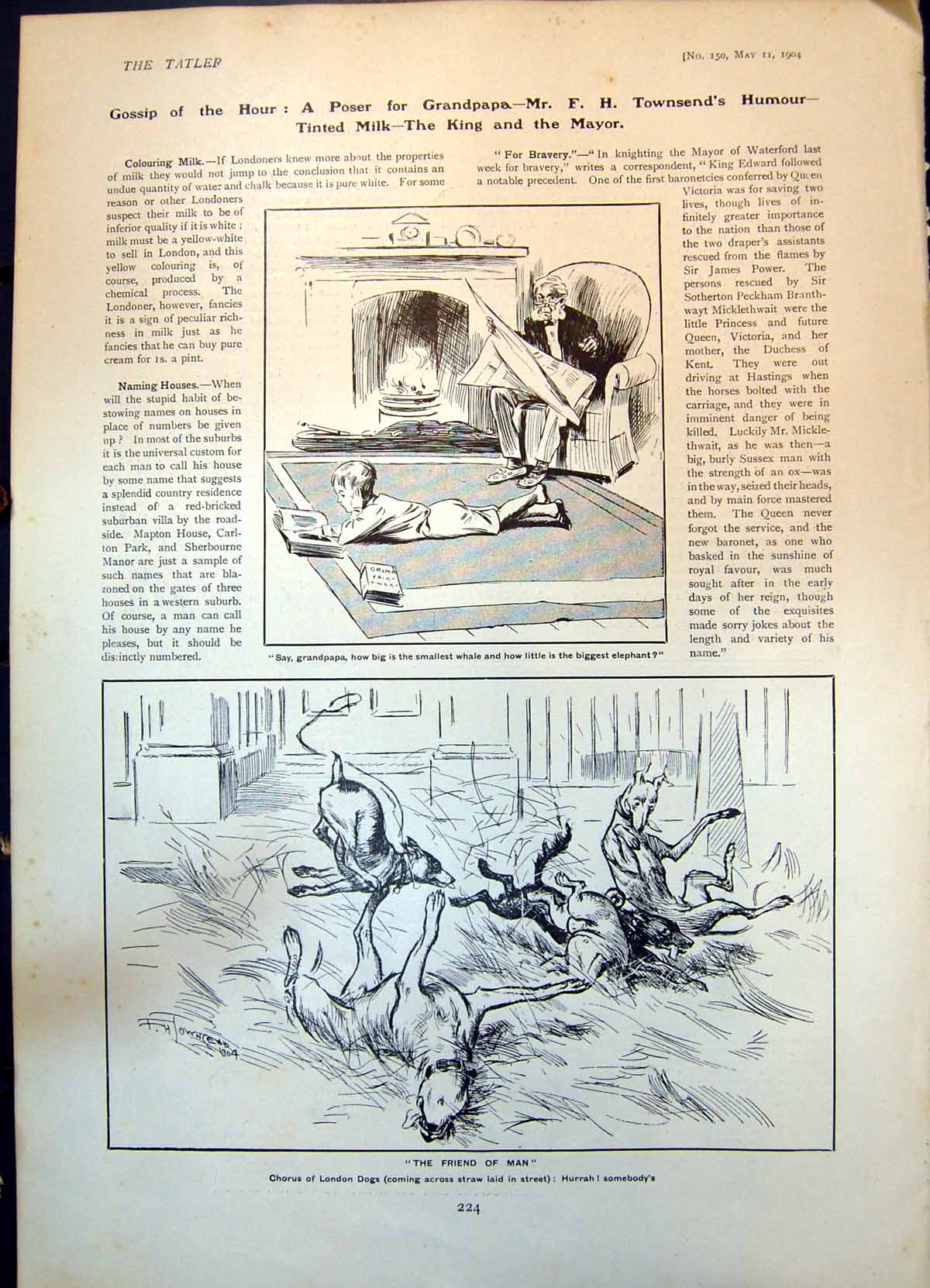 Old Print F Townsends Humour Grandpapa London Dogs Street Posts Fire 1904 20th