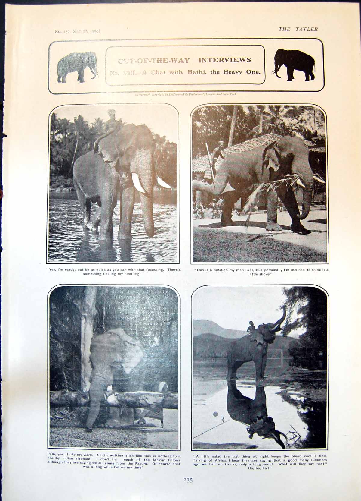 Old Print Hathi Elephant Lady Constance Knox Daughter Lord Ranfurly 1904 20th