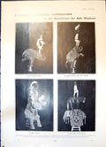 Old Acrobat Elephant Hippodrome Duchess Westminster L Fitzpatrick 190 20th