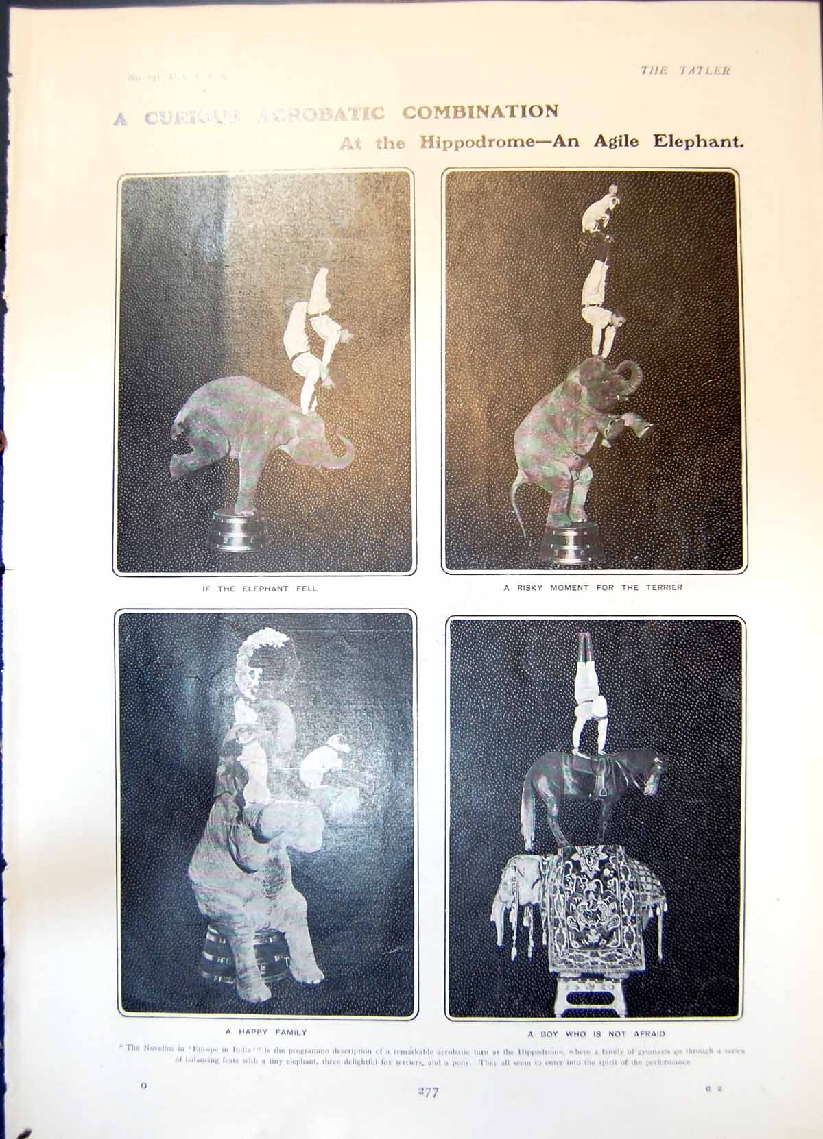 Old Acrobat Elephant Hippodrome Duchess Westminster L Fitzpatrick 190 20th