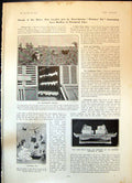 Antique Print Strawberry Season Ers Pie Mrs Arthur Croxton Jade Seals 1904 20th