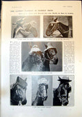 Old Print Fashions Horses Hats Miss A Mansergh Married Capt R Bagge 1904 20th
