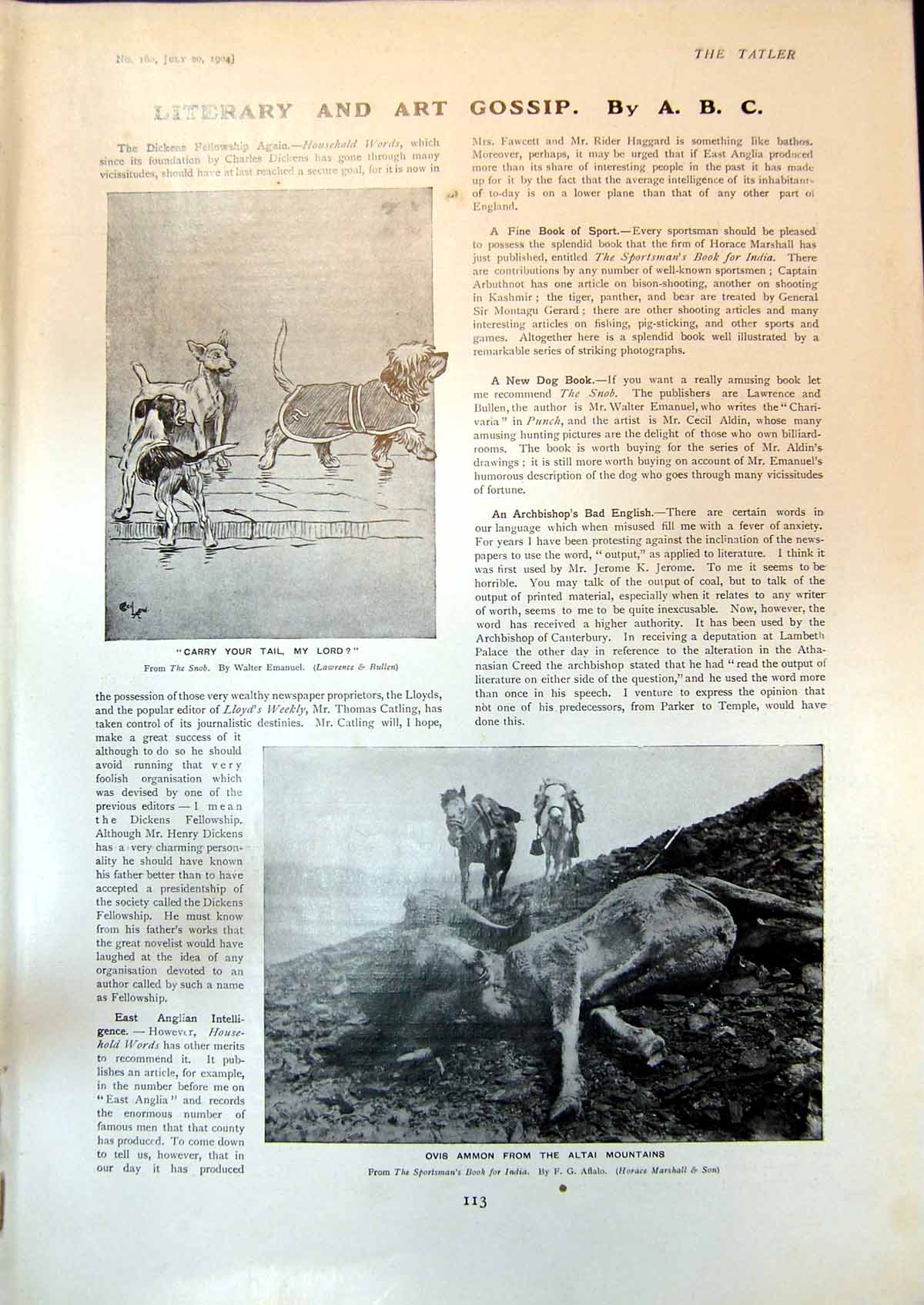 Antique Print Ovis Ammon Altai Mountains Course Nasik Golf Club Bombay 1904