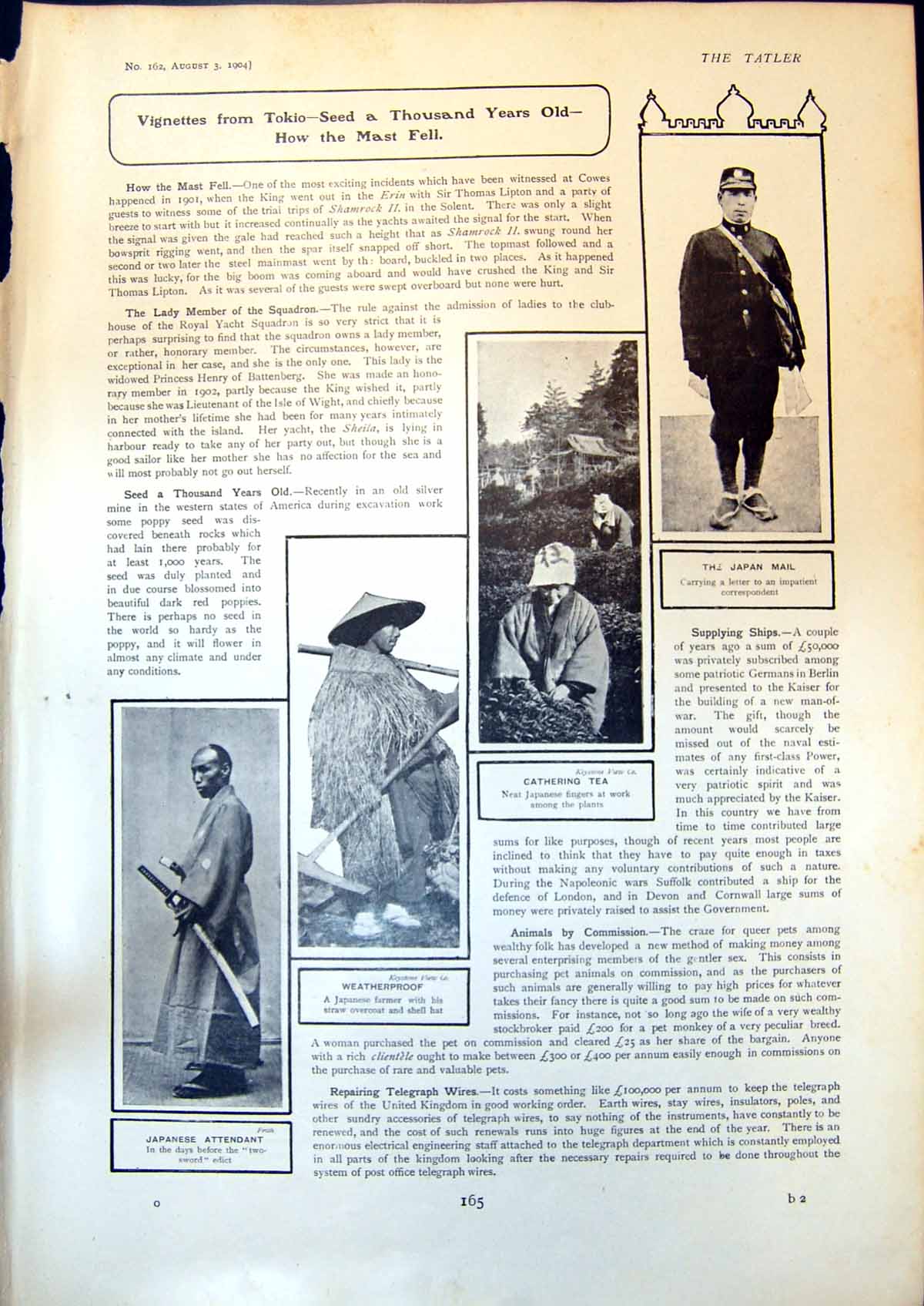 Old Tokio Japan Mail Gathering Tea Farmer Overcoat Albert Chevalier