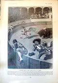 Antique Old Print San Sebastian Bull Ring Spain Bull Tiger G D Armour 1904 20th