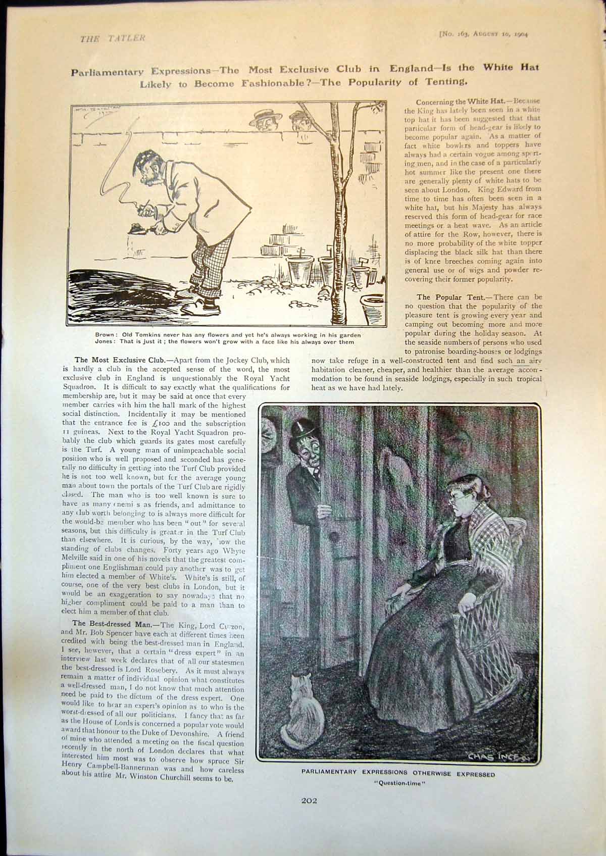 Old Parliamentary Expressions Brown M De Plehves Carriage Exposion 19 20th