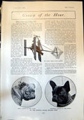 Old Maxim Flying Machine Crystal Palace Bull Dog Show Chloe Gorilla19 20th