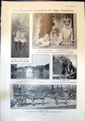 Antique Print Donkey Tandem Brickeen Bridge Killarney Countess Wemyss 1904 20th