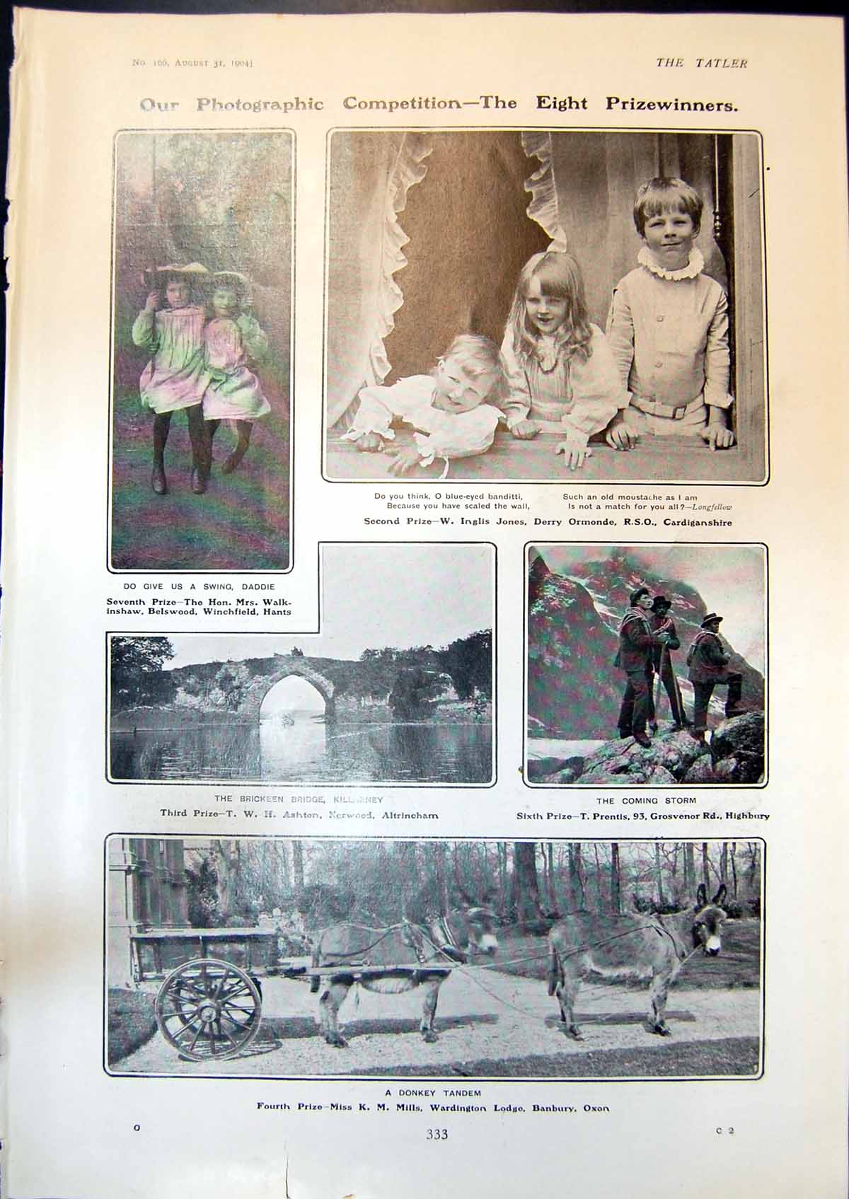 Antique Print Donkey Tandem Brickeen Bridge Killarney Countess Wemyss 1904 20th