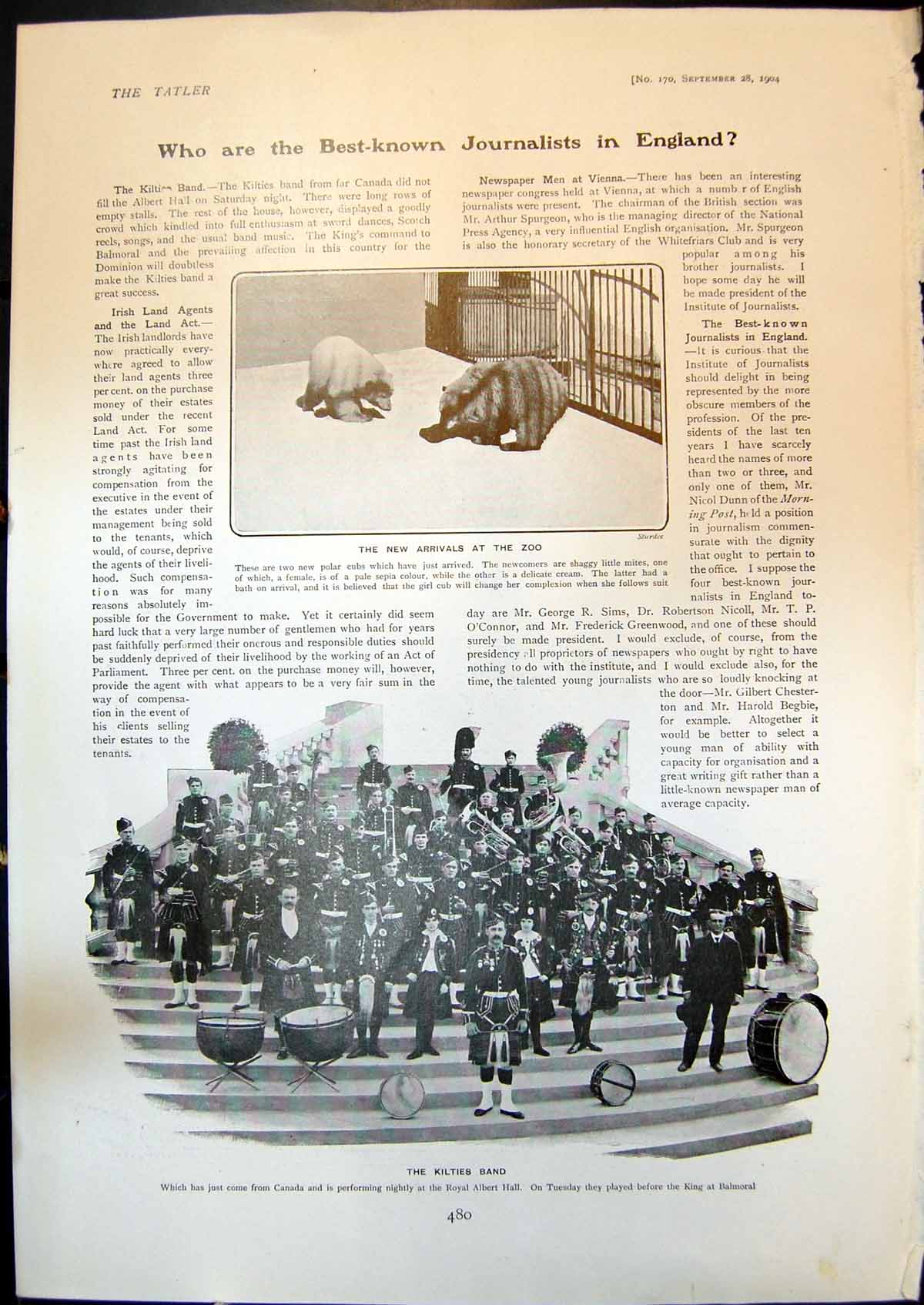 Old Polar Cubs Zoo Kilties Band Miss Janothas Cat Discoverys Dog 1904 20th