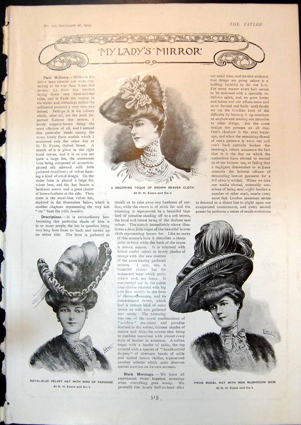Old Print Hat Toque Louis Xv Arm Chair Shrieval Chain Deputy Woodman 1904 20th