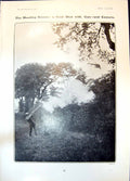 Old Print Shooting Season Gun Mrs Hawley Smart Daughters King Italy 1904 20th