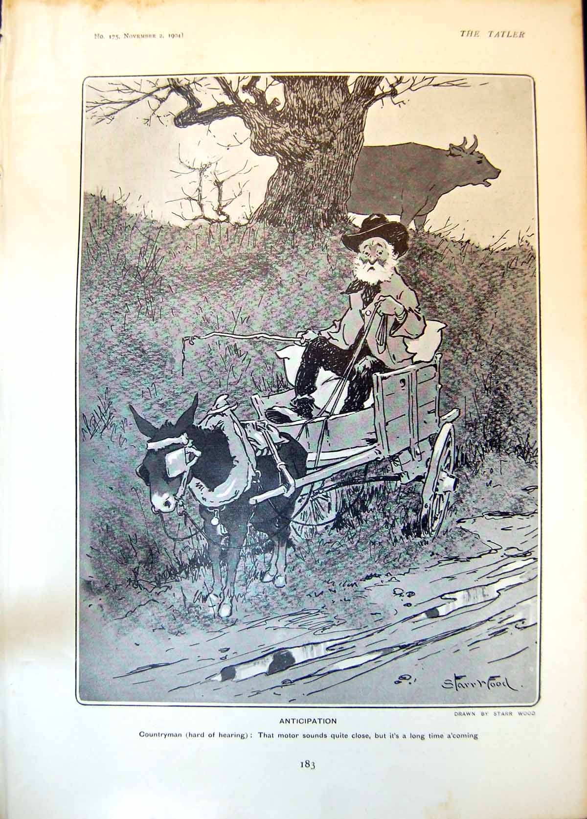Antique Old Print Humour Starr Wood Anticipation Countryman Cart Bull 1904 20th