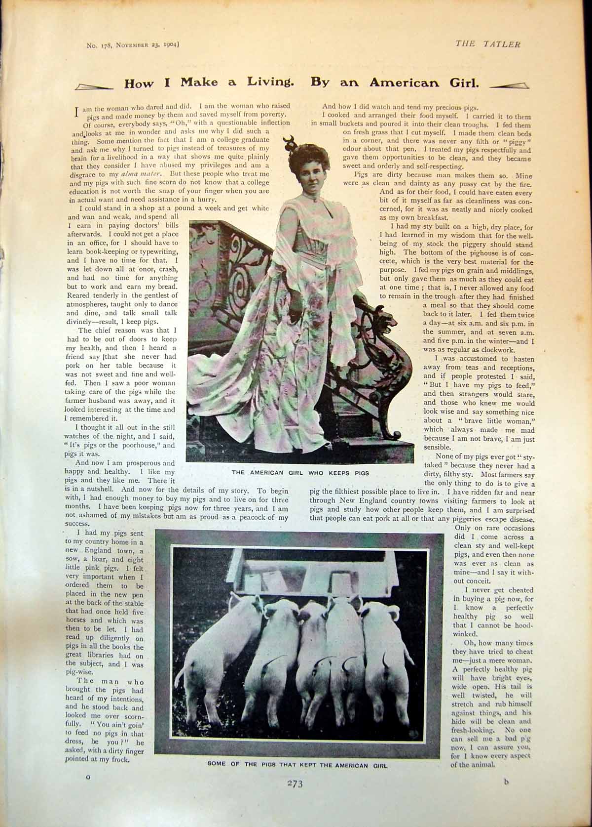 Original Old Antique Print American Girl Who Keeps Pigs Some Pigs Eating 1904