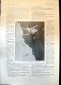 Antique Print Humour Man Hanging Cliff H Bateman Travelling Case Furs 1904 20th