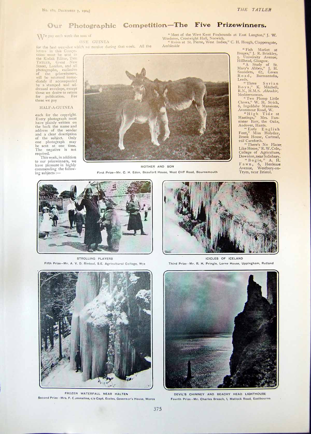 Old Devils Chimney Beachy Head Lighthouse Frozen Waterfall Halten 190 20th