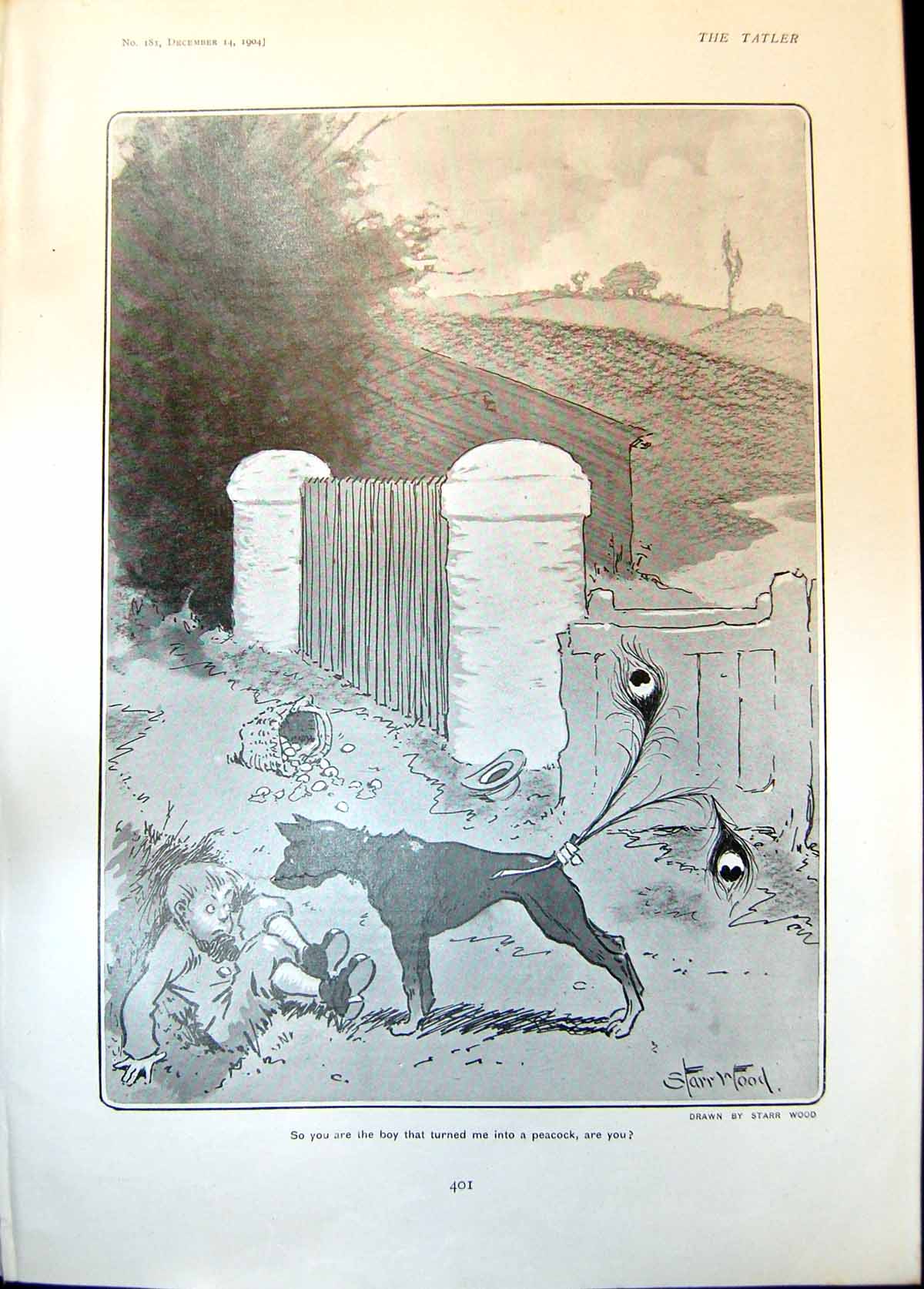 Old Humour Starr Wood Dog Boy Are You Boy Turned Me Into Peacock1904 20th