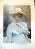 Old Miss Billie Burke Sergeant Brue Norwegian Pig Puppies Basket 1904 20th