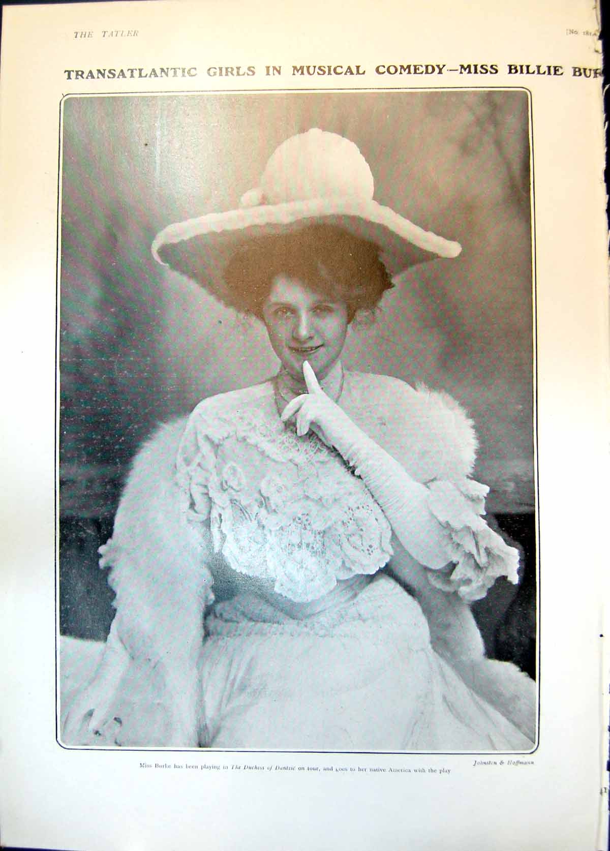 Old Miss Billie Burke Sergeant Brue Norwegian Pig Puppies Basket 1904 20th