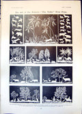 Antique Print Paper Cutting Competition Ist Prize Clara Porter Sandown 1905