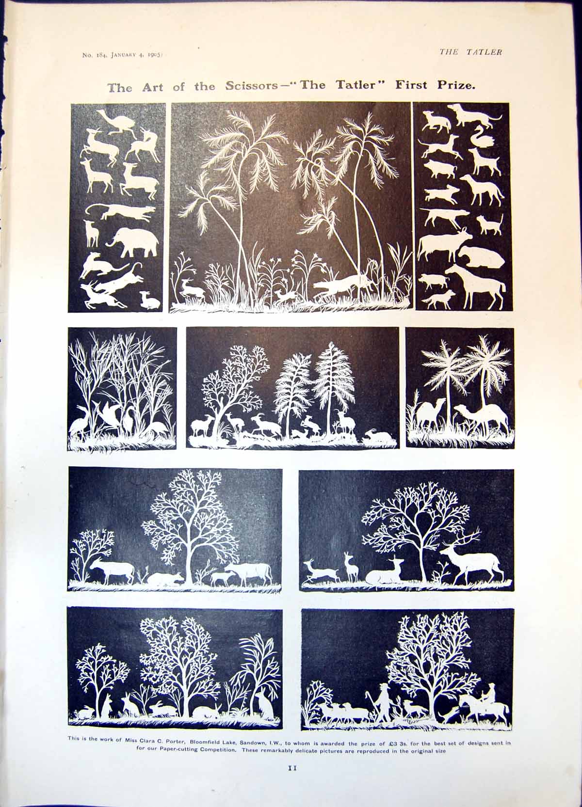 Antique Print Paper Cutting Competition Ist Prize Clara Porter Sandown 1905