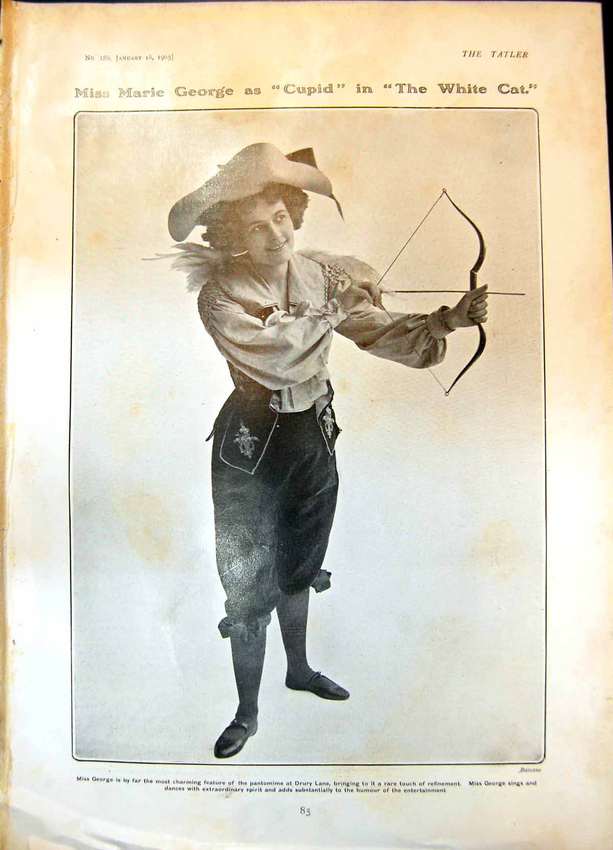 Old Marie George Cupid White Cat Childrens Fancy Dress Gwen Marshall1