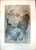 Old Print Heard In Fog Starr Wood After Colliding Thought Horse Cart 1905 20th