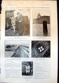 Antique Print Dam Asouan Nest Missel Thrush Yeoman Mrs Andrew Carnegie 1905