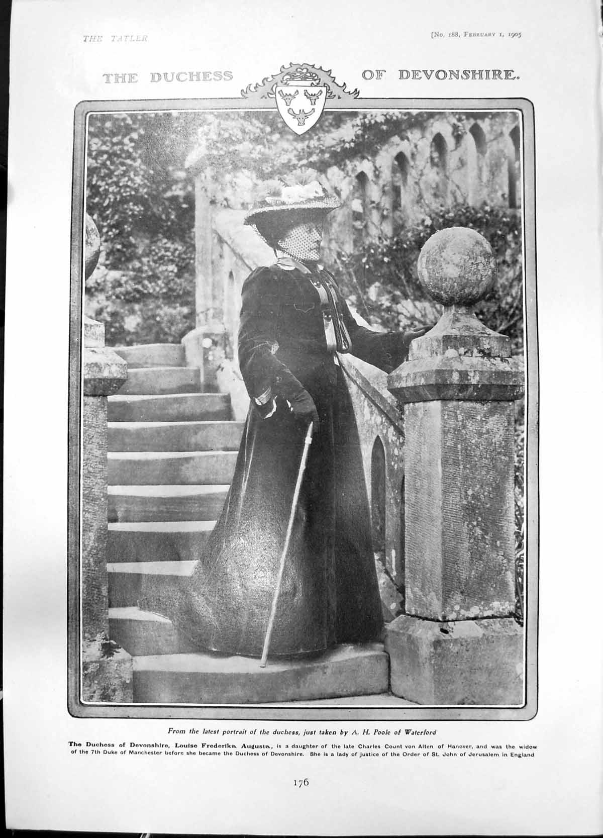 Old Duchess Devonshire Feeding Birds Winter Suet Tree Spreading Grain