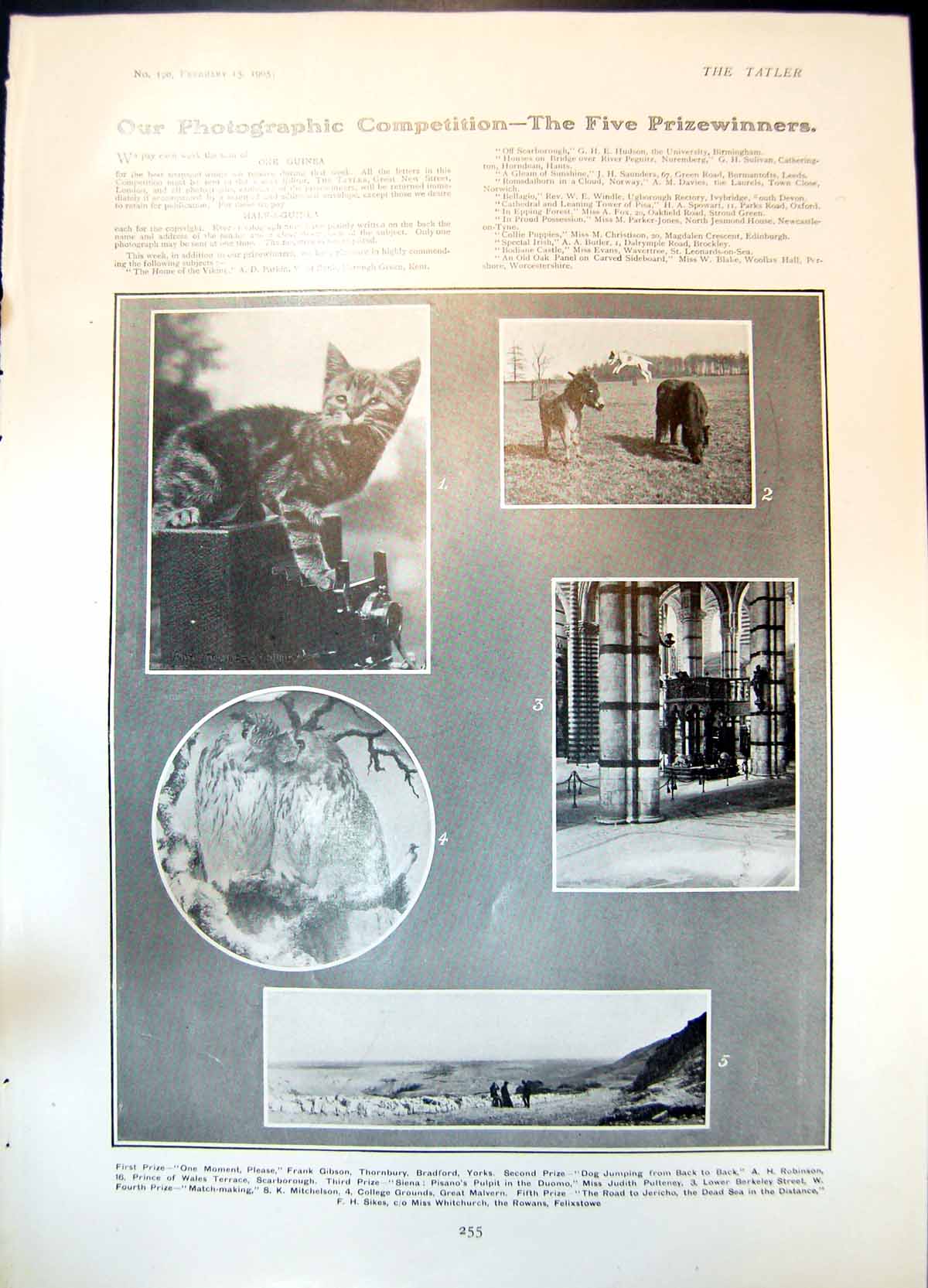 Old College Grounds Great Malvern Romeo Juliet Harcourt Williams 1905 20th