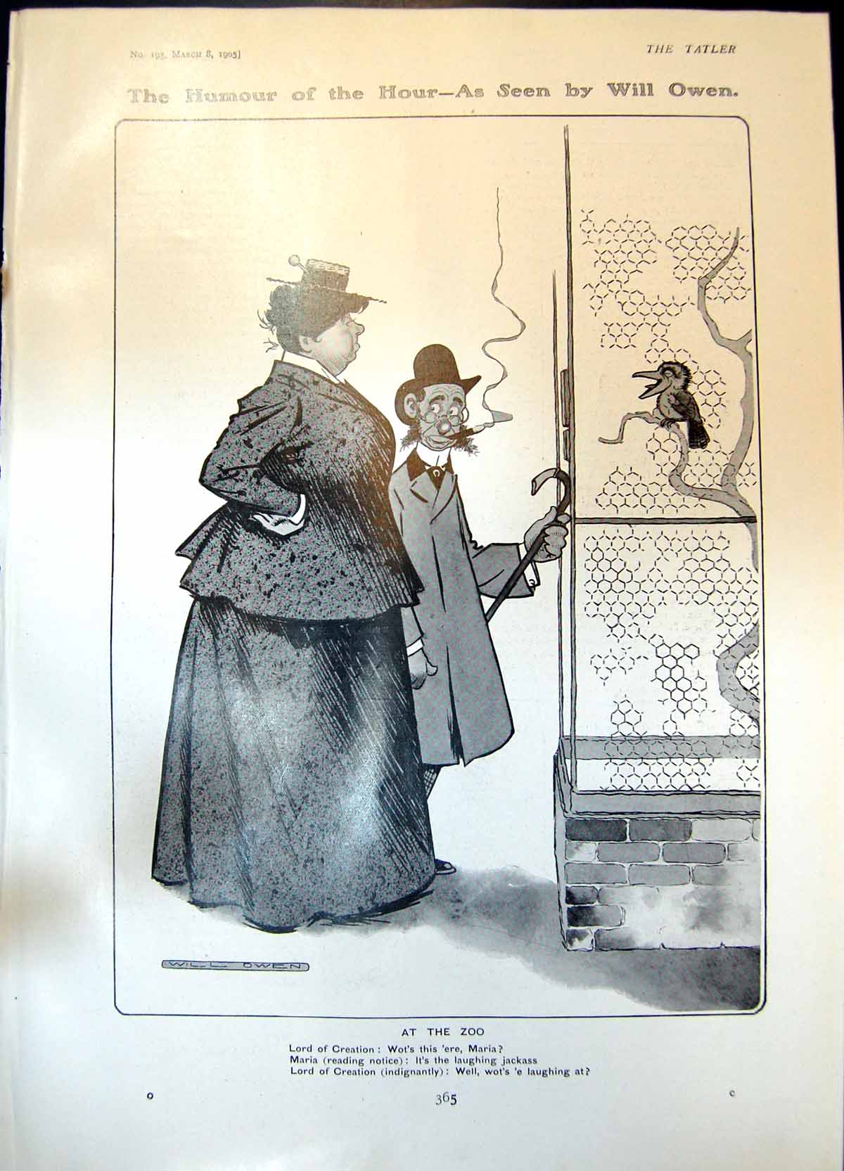 Antique Print Humour Will Owen Zoo Prince Oscar Sweden Norway LeopDuke1905 20th