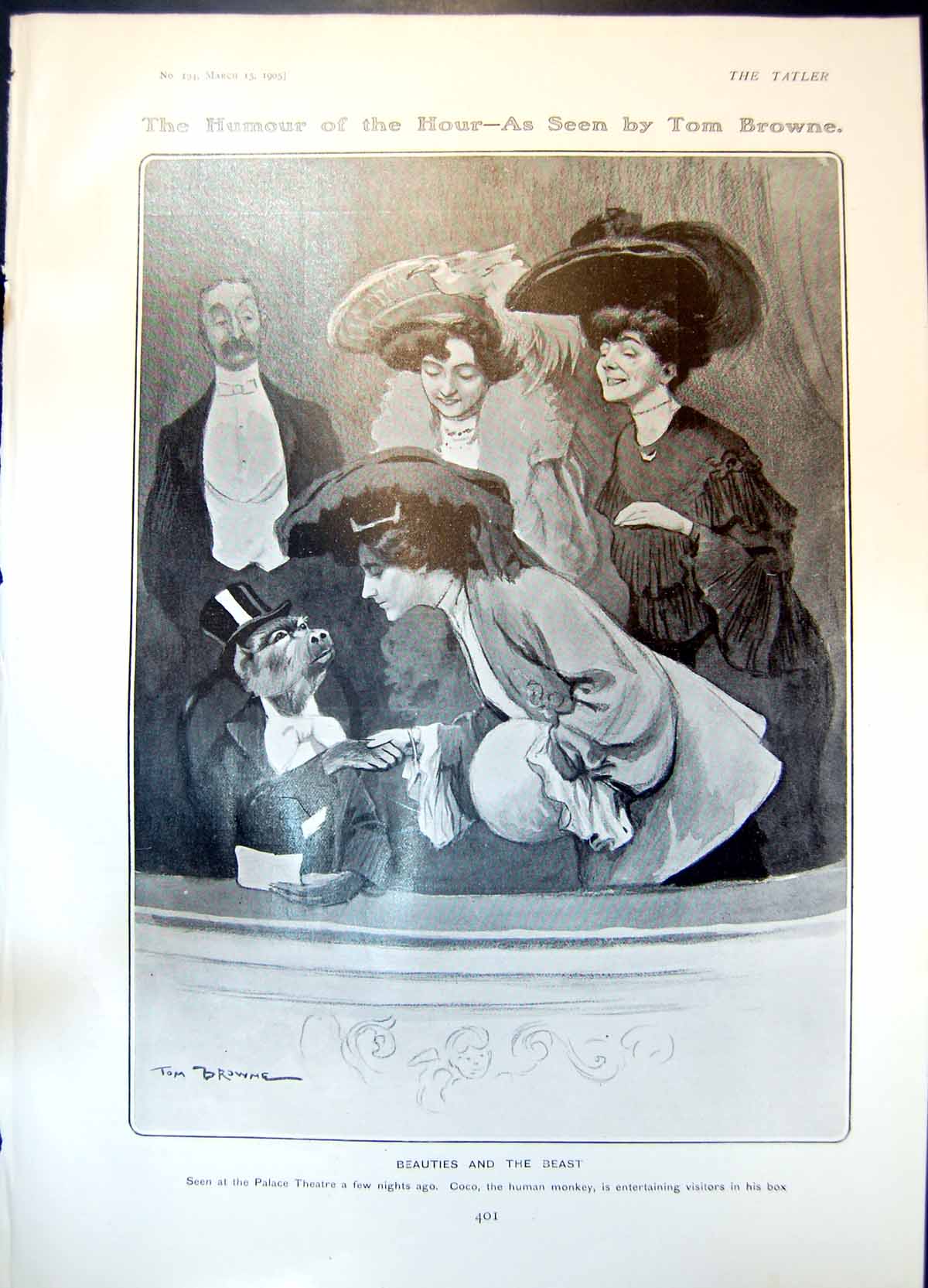 Old Humour Tom Browne Beauties Beast Diagram Results Rugby Match1905 20th