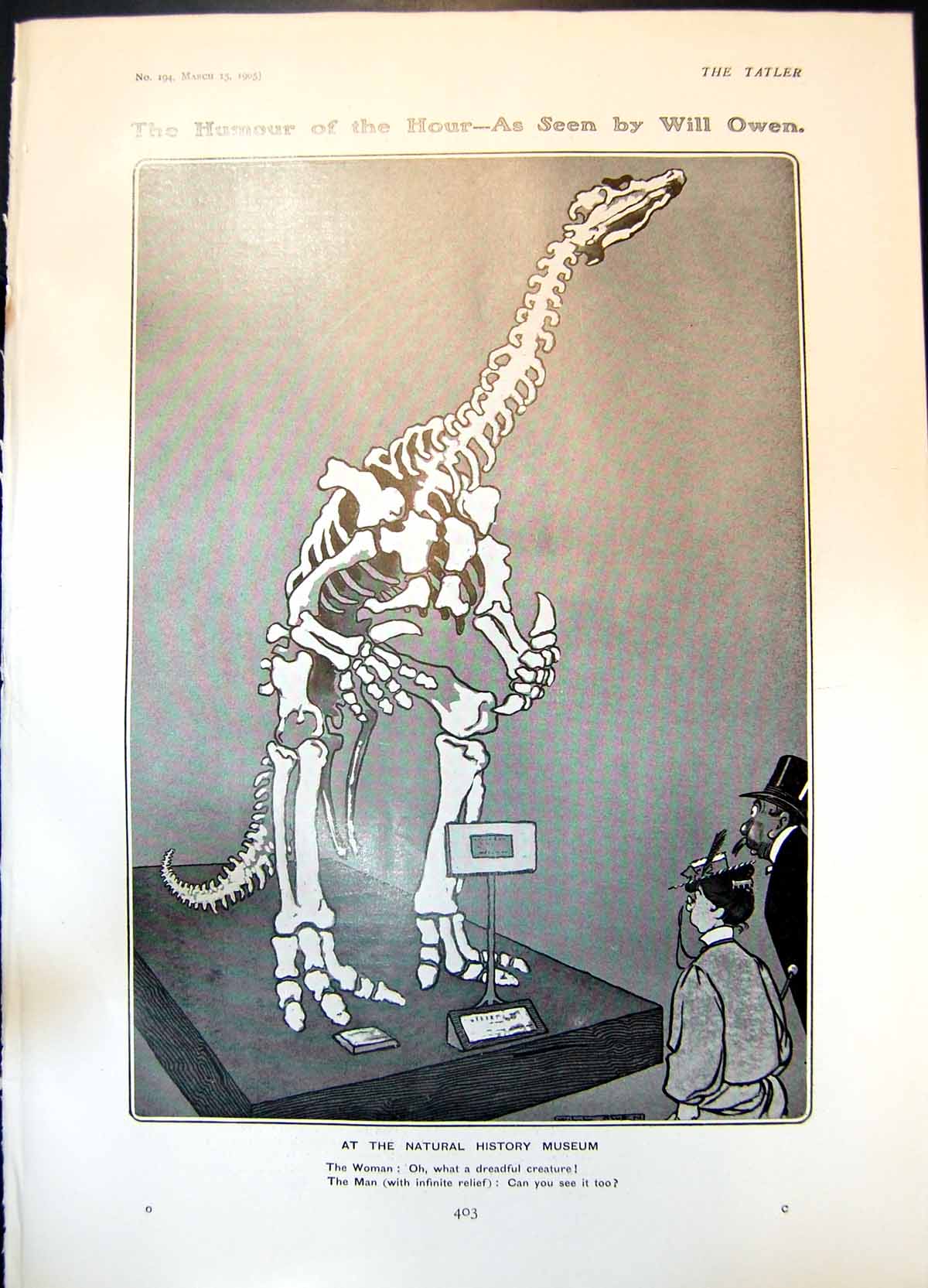 Old Humour Will Owen Natural History Museum Signor Marconis Bride1905 20th