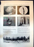 Antique Print Head Study Dog Tomb Dante Ravenna House Gloucestershire 1905 20th