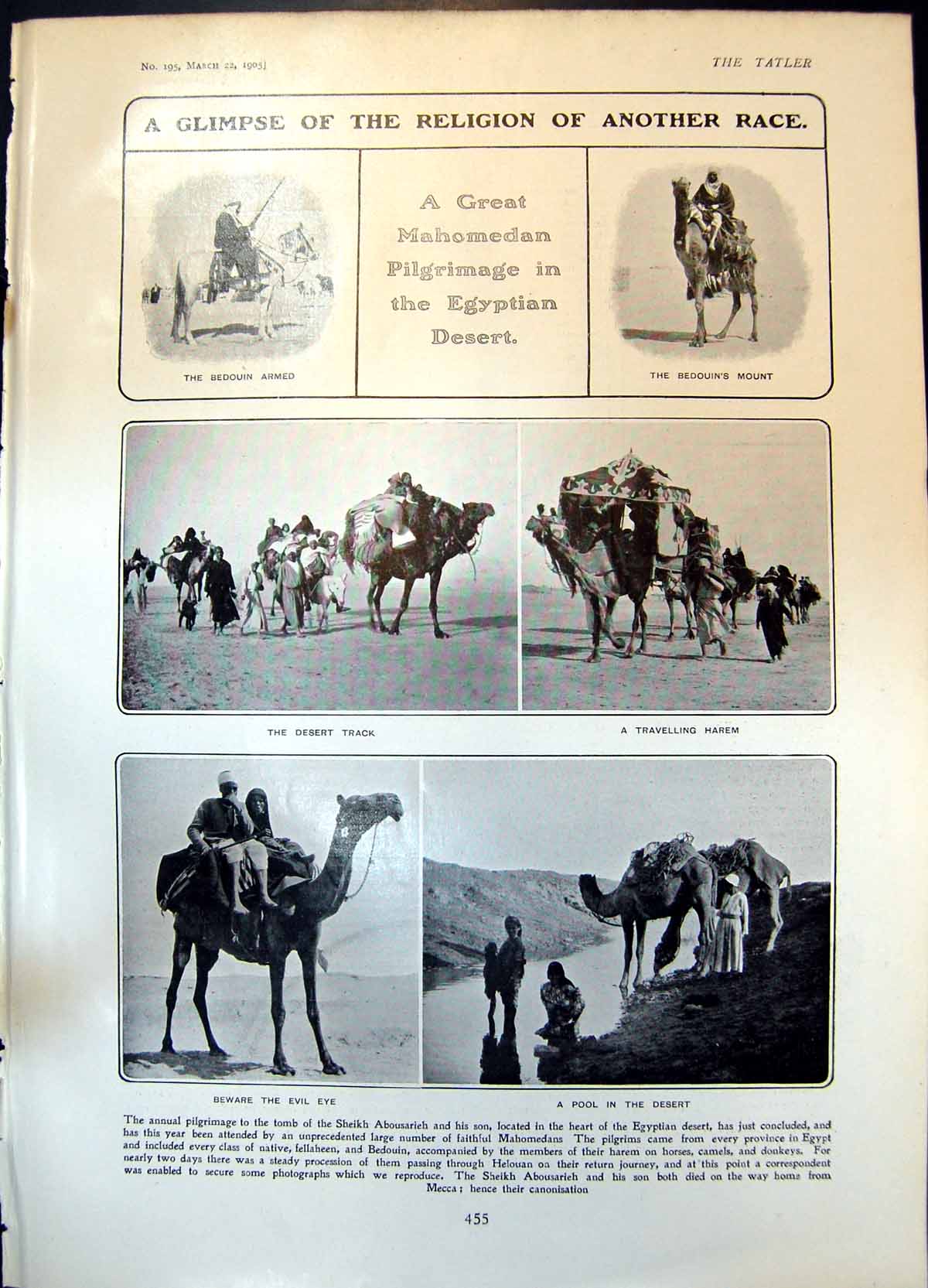 Old Print Mahomedan Pilgrimage Egyptian Desert Camel Rev A N Cooper 1905 20th