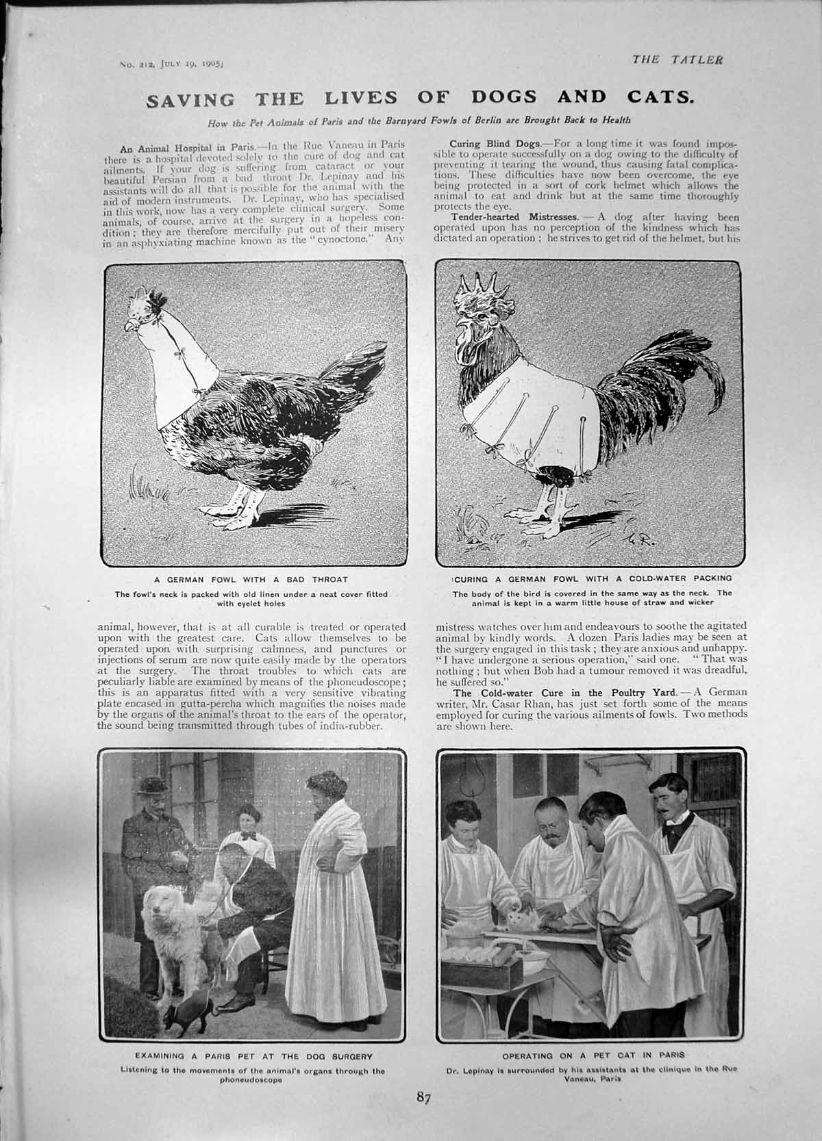 Antique Print Saving Lives Dogs Cats Fowl Bad Throat Paris Dog Surgery 1905