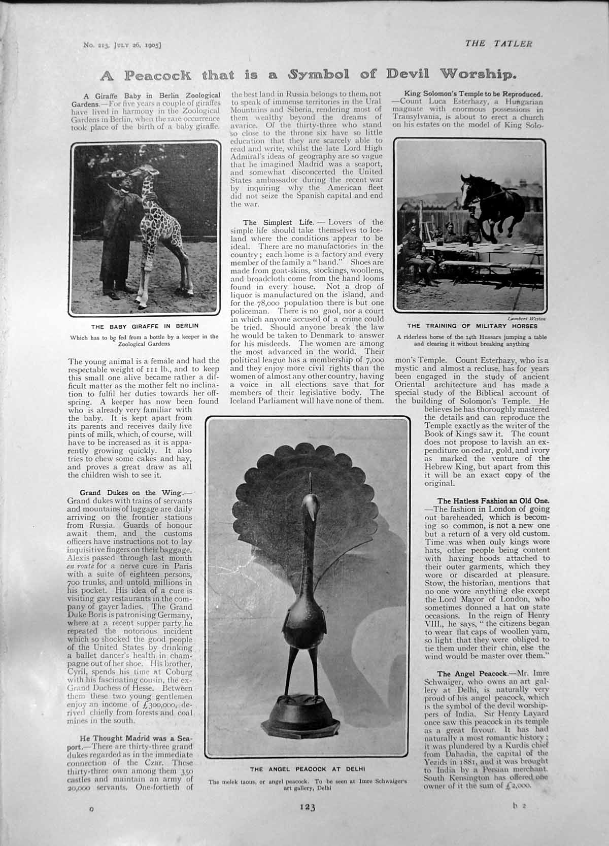 Old Angel Peacock Delhi Training Military Horses Cricketing Mems 1905 20th